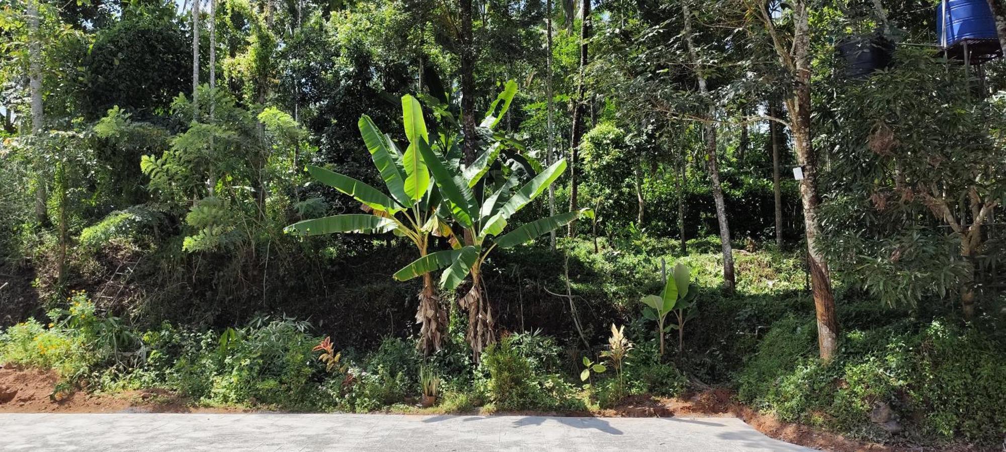 Spice Garden Farm House Sultan Bathery Exterior foto